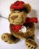 Plüsch-Bär mit roter Mütze und Schal
