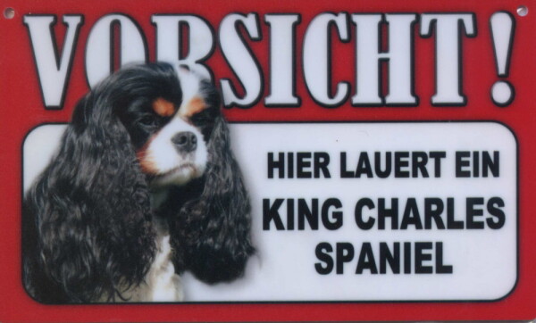Tier - Warnschilder - Vorsicht! ... King Charles Spaniel (28)