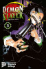 Demon Slayer 13 - SC (Deutsche Ausgabe)
