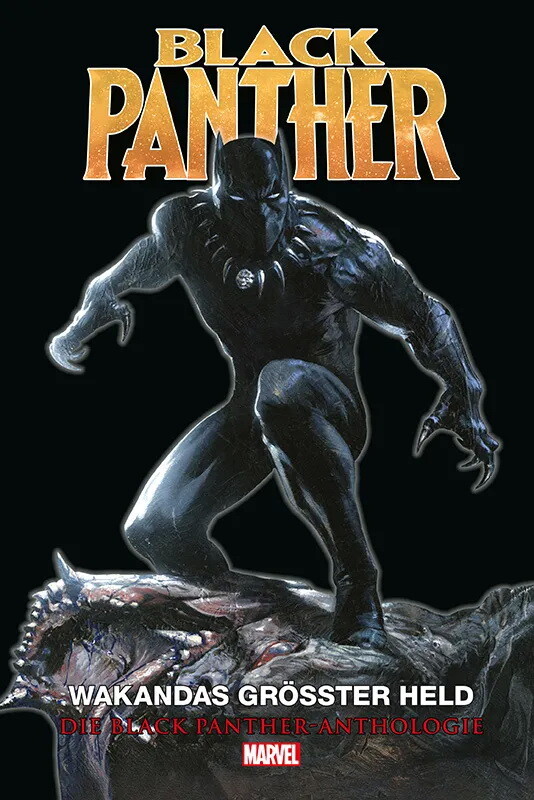 Black Panther Anthologie HC