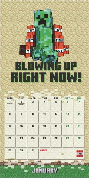Danilo Kalender - Minecraft Broschurkalender 2024