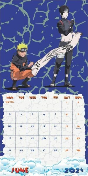 Danilo Kalender - Naruto Broschurkalender 2024