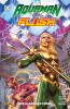 Aquaman/Flash - Der Klang des Todes SC