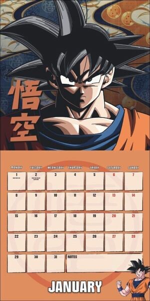 Danilo Kalender - Dragon Ball Z Broschurkalender 2024